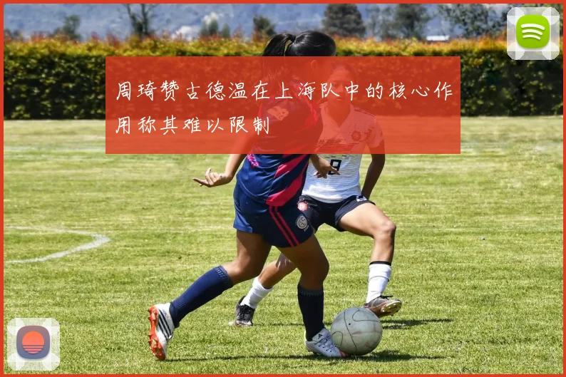 周琦赞古德温在上海队中的核心作用称其难以限制